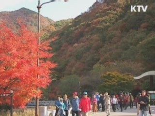 제9회 '산의 날'…산림복지 서비스 본격 추진