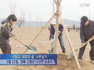 낙동강 '희망의 숲' 조성