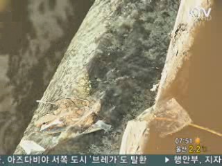 하천·공장폐수 오염도 냄새로도 잰다