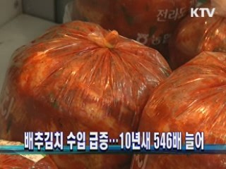 배추김치 수입 급증…10년새 546배 늘어