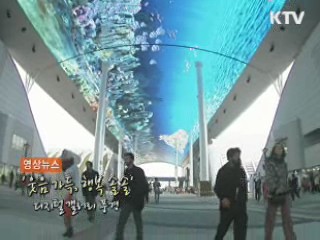 영상뉴스
