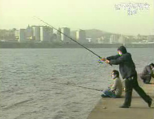 오는 2008년 낚시 관리제 시행