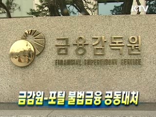 금감원-포털 불법금융 공동대처