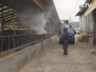 대규모 농가부터 '축산업 허가제' 도입