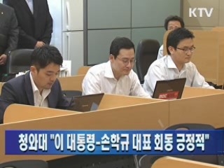 청와대 "이 대통령-손학규 대표 회동 긍정적"