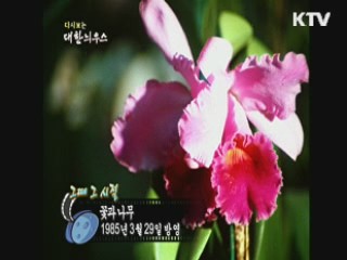 다시보는 대한늬우스+ (85.03.29)