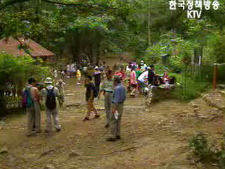 서울 약수터 25% 먹는 물로 부적합