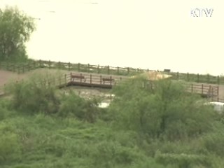 "2012년 4대강 수질 2급수 비율 86%"