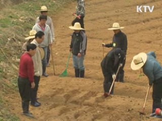 상반기 여의도 8배 농지 용도전환