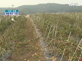 태풍 '산바' 피해···조속한 복구·지원