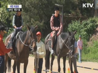 승마, 지적장애인 재활치료 효과 크다