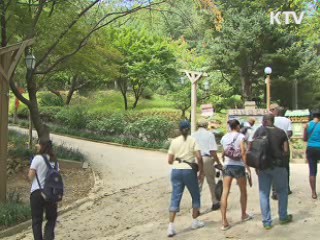 대구 육상선수들 "관광하며 쉬어요"