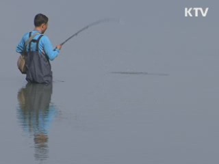 제철 만난 망둥어 낚시