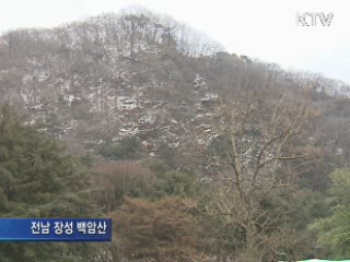 남녘 고로쇠 채취 시작