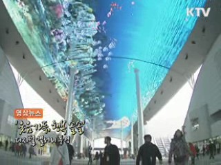 영상뉴스