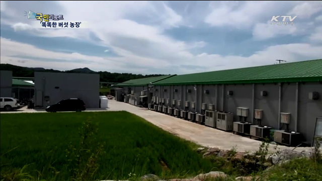 사물인터넷농장, 알아서 척척 관리해줘요