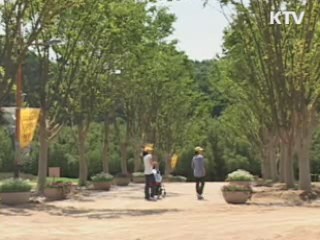 울산 태화강 '대숲 생태공원' 조성