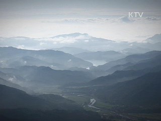 나무 영웅을 만든 우정 - 현신규와 정희섭