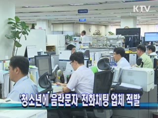 '청소년에 음란문자' 전화채팅 업체 적발