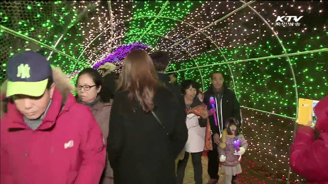 '보성차밭 빛축제'…다음달 15일까지 계속