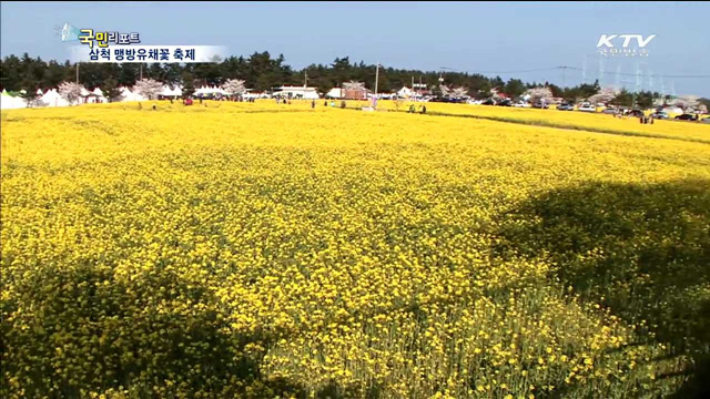 유채꽃 만발…희망가득 느껴요