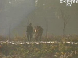 농촌 65세 이상 30% 돌파, `초초고령사회`