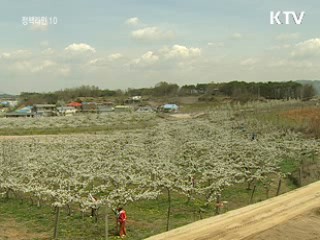 희망근로, 저소득 농가 일손돕기 집중