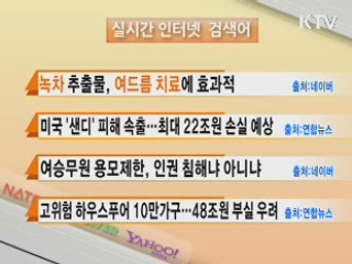 실시간 인터넷 검색어