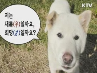 청와대 카카오스토리, '청와대스토리' 공식 오픈