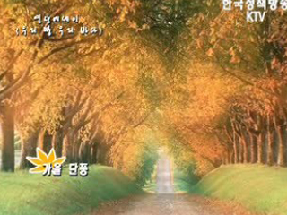 가을 단풍