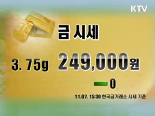 증시정리 환율 금시세