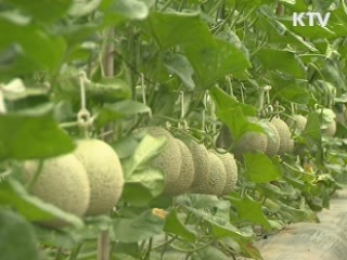 수요자별 '맞춤형 농식품 안전정보' 제공