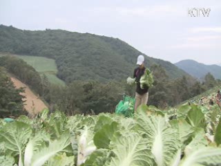 농수산물 유통구조 개선대책 오후 발표