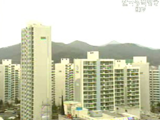 11.3대책 후 아파트 매수세 진정 기미