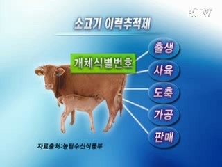 '쇠고기 이력추적제' 사육단계 시행
