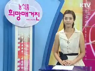 쌀 가공식품 활성화 방안