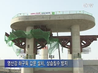 4대강 농업 분야 우기 특별대책 추진