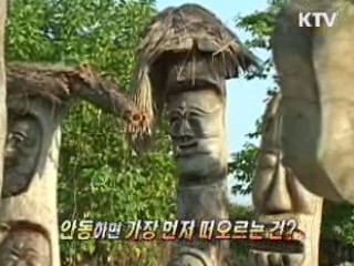 안동 '낙동강 가을 축제' [네트워크 현장]