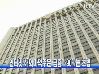 인터넷 해외마약주문 급증…90%는 초범