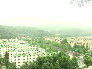 나홀로 아파트도 실거래가 공개 추진