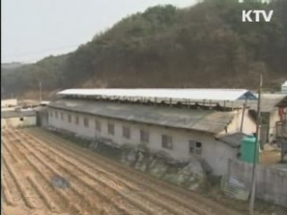 구제역 백신 접종 대상 전국 확대