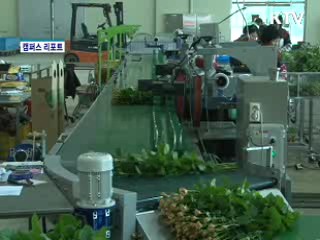 한국 장미 세계를 매혹하다