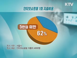 인터넷쇼핑몰 '5만원 미만 현금 결제'도 보호