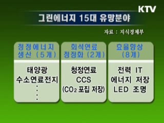 그린에너지 개발, 민·관 6조원 투자