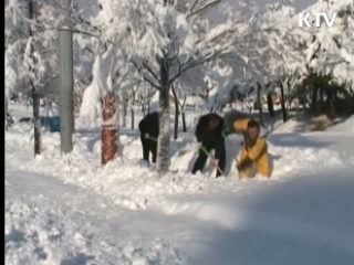 풍수해보험 '덜 내고 더 받는다'