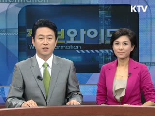 정보와이드 6 (31회)