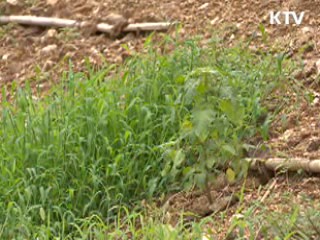 전국 하천 '지류·지천 정비' 시동