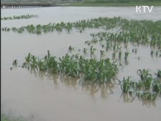 개성공단 입주업체 개성 수해민 지원 추진