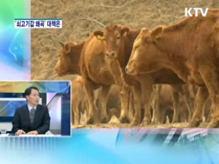 '쇠고기값 왜곡'···대책과 실효성은? [와이드 인터뷰]