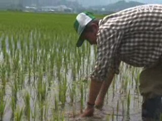 이번 달 평년 강수량 회복…곧 찜통더위